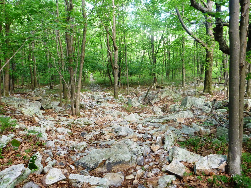 Rocks and Rain in PA