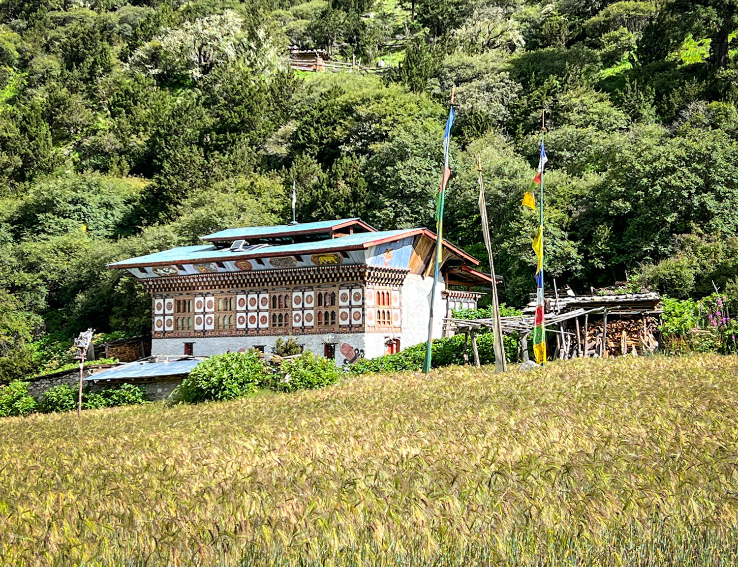 A house in the Lunana Valley.