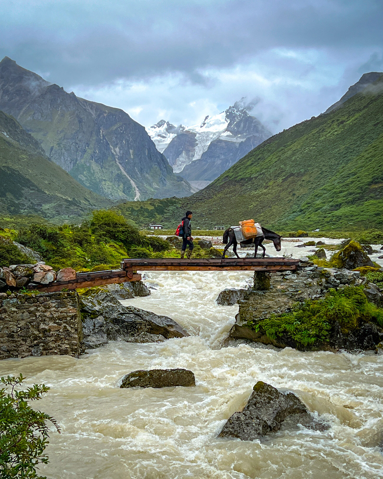 Pack horse crossing the bridge to Roduphu.