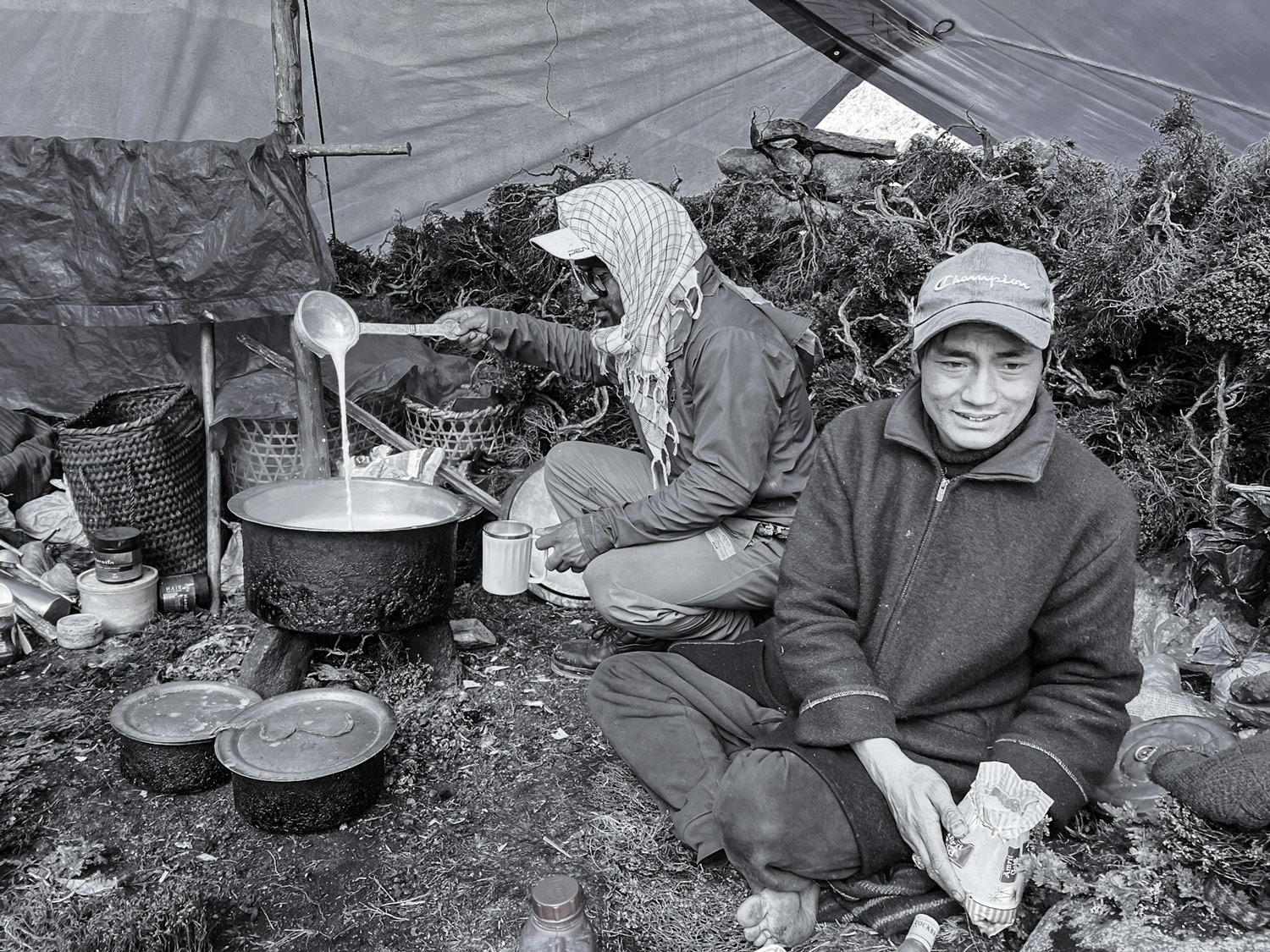 A yak herder boiling fresh yak milk.