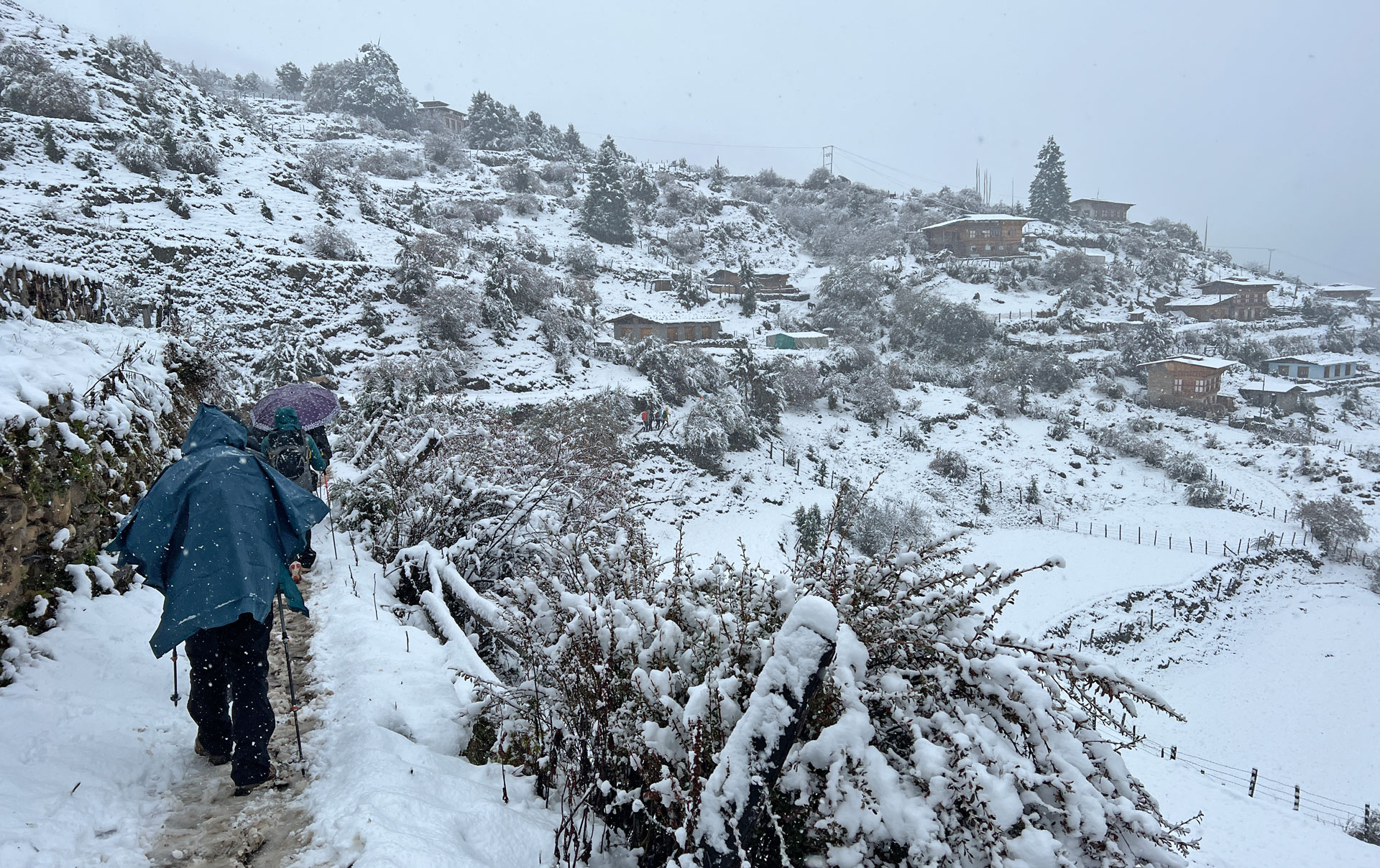 Snowy trail in Laya, Bhutan.