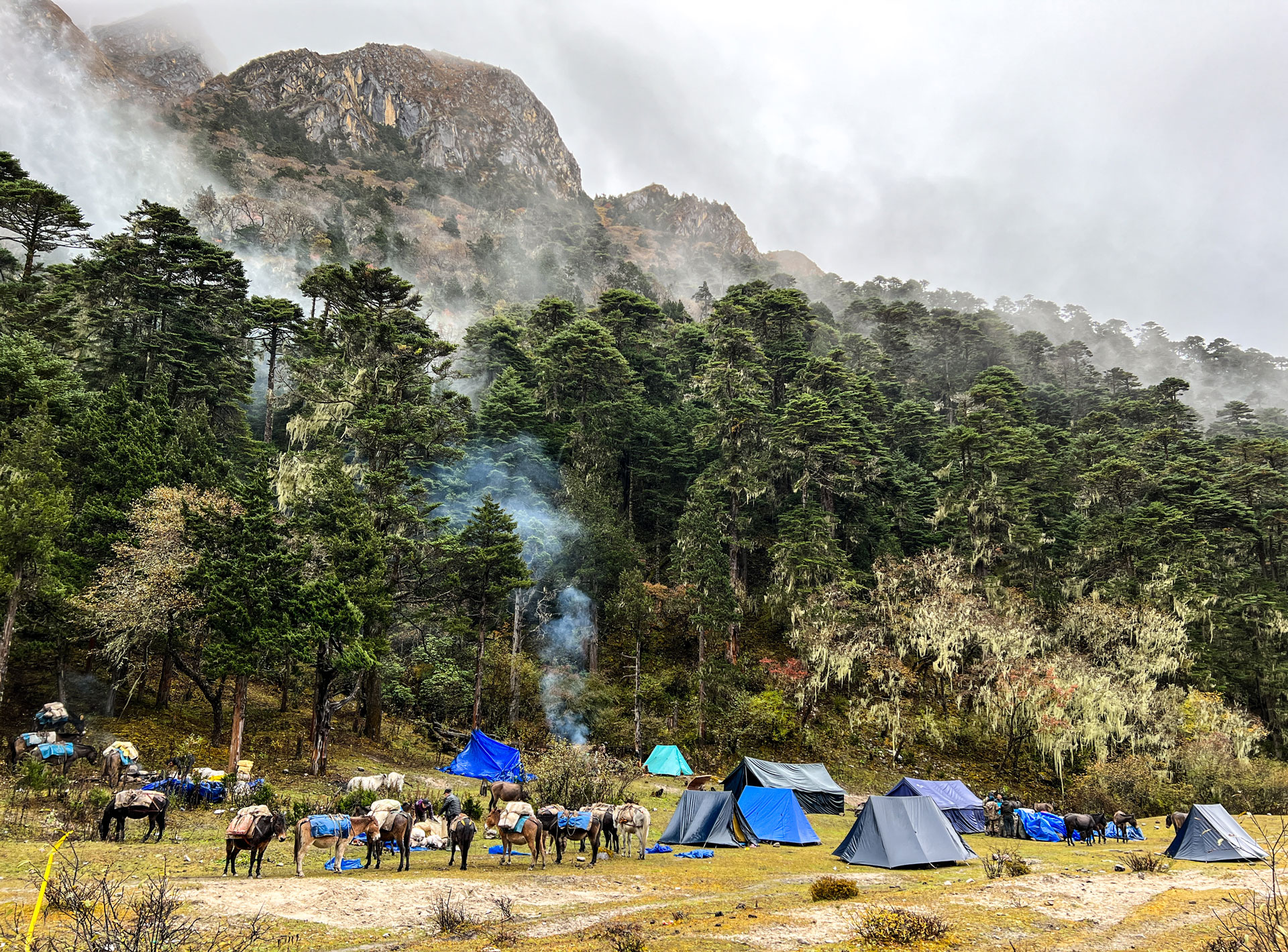 Campsite along the Snowman Trail.