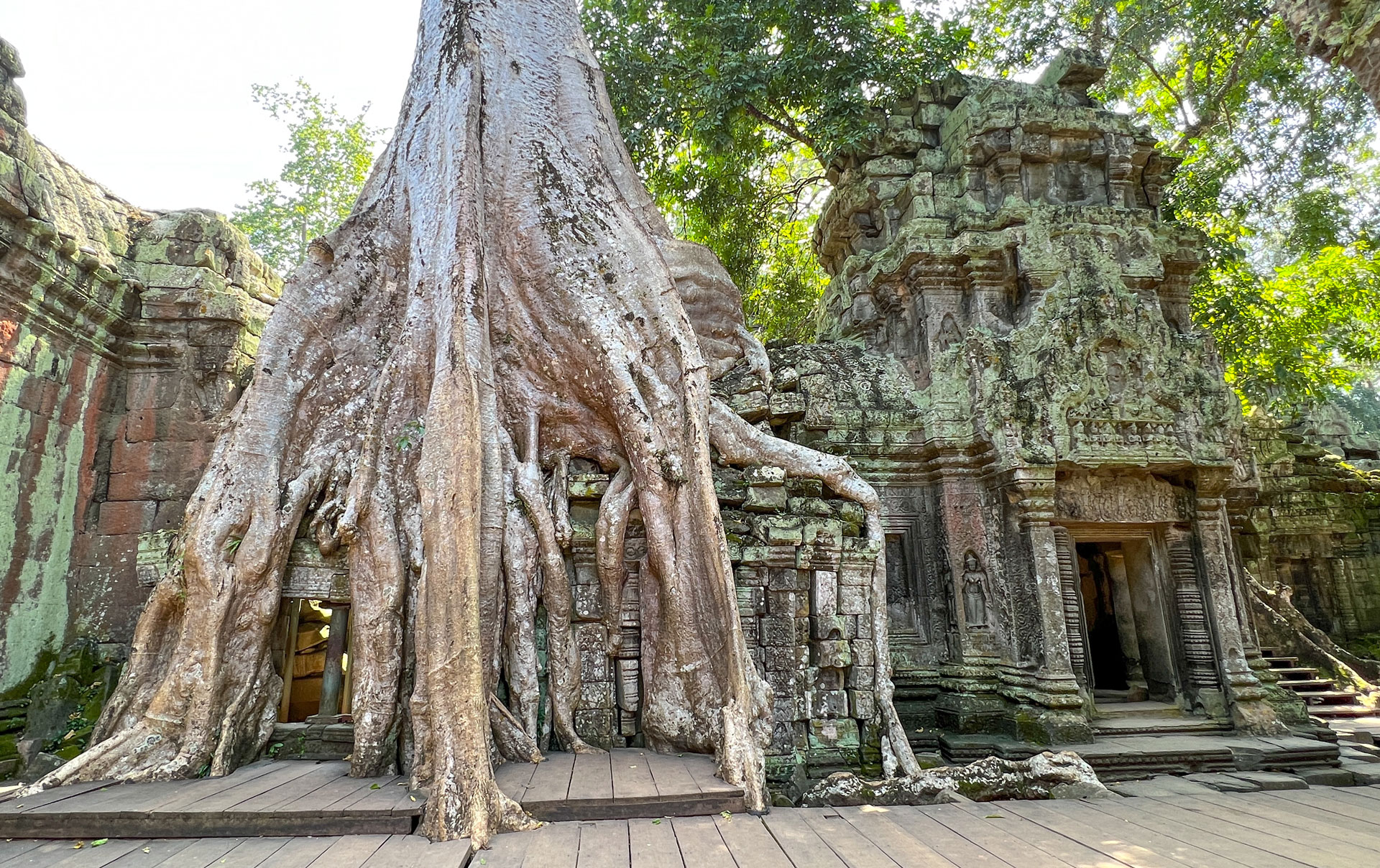 Ta Prohm Temple in Angkor Wat.