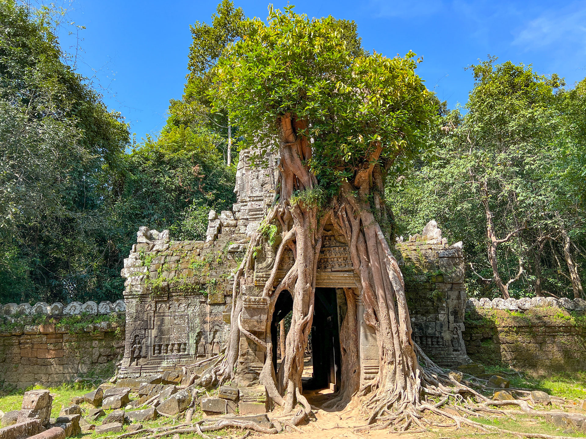 Ta Prohm Temple in Angkor Wat.