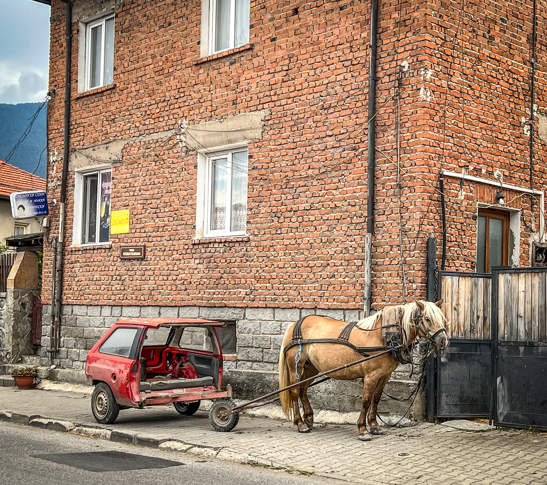 Horse cart in Bansko.